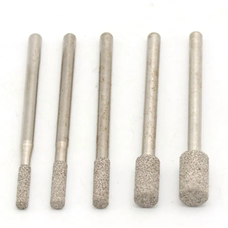 Diamond Needle Insect